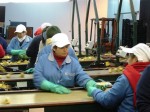 [Packing SB L3 2006 008.jpg]